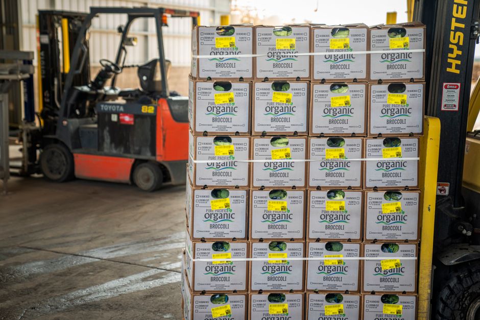 diferença entre importação e exportação